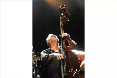 Di Mauro Swing au NJP 2019 - photo 4