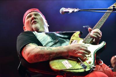 Popa Chubby au NJP en 2021 - photo 1