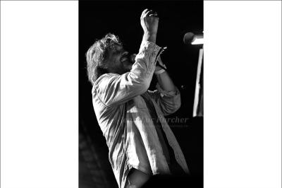 Emir Kusturica au NJP en 2017 - photo 6