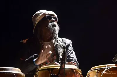 The Skatalites au NJP en 2024 - photo 13