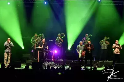 Fanfare Ciocărlia au NJP 2025 - photo 10