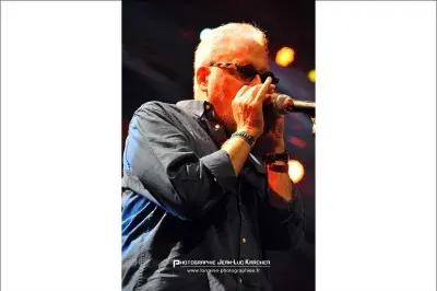 Eric Bibb, Jean-Jacques Milteau au NJP en 2015 - photo 7